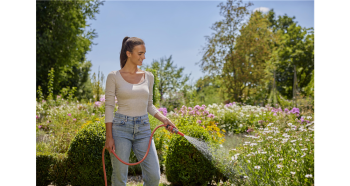 Basic Induló készlet 2.Kép