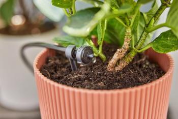 MD Nyomáskiegyenlitős végcsepegtető 2 l/óra 2.Kép