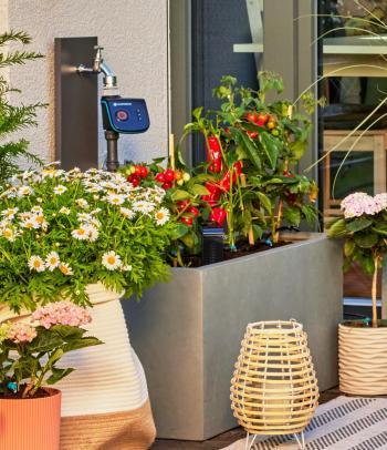 MD Sorcsepegtető 2 l/óra 2.Kép